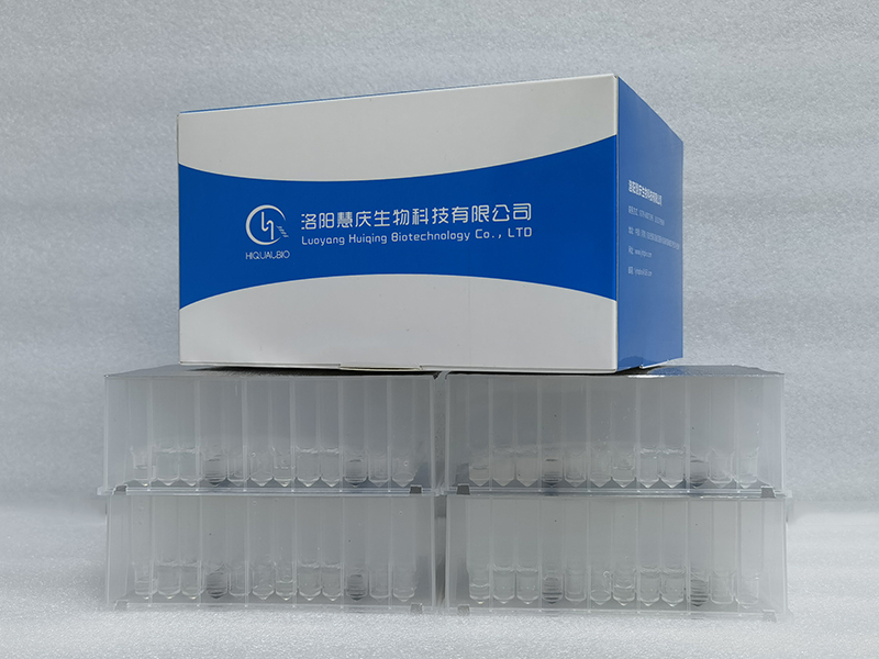 拭子類(lèi)核酸提取試劑(磁珠法)預(yù)分裝